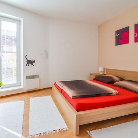 Apartman U Kostela Destne v Orlickych horach Exteriér fotografie